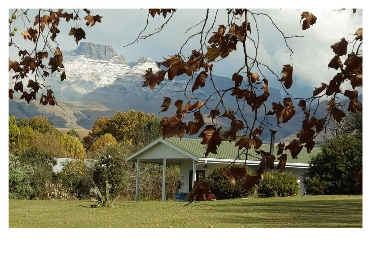 Swallowfield Cottage Champagne Valley Exteriör bild